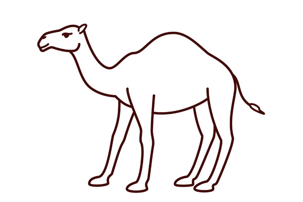 Coloriage chameau à imprimer PDF gratuit