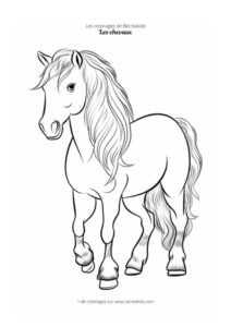 Coloriage cheval pour enfant