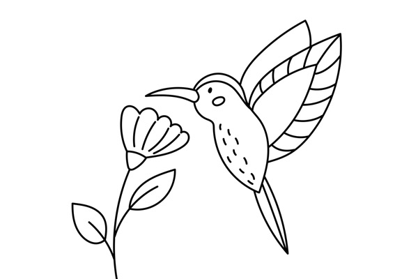 Coloriage colibri à imprimer