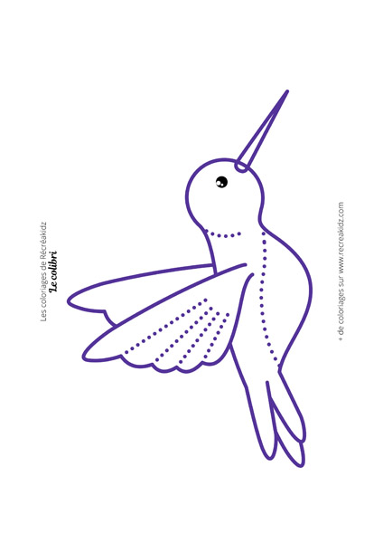 Coloriage colibri facile