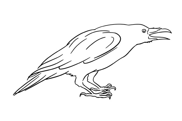 Coloriage corbeau à imprimer