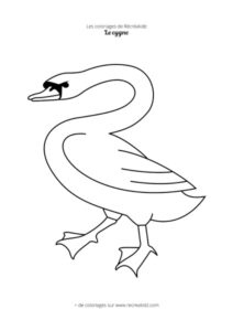 Coloriage cygne facile