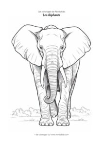 Coloriage éléphant en noir et blanc