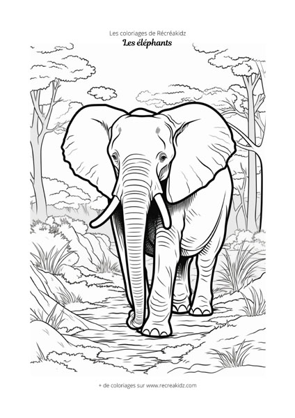 Mon gros livre de coloriage - Eléphant (3-5 ans) Pas Cher