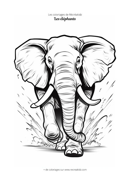 Coloriage éléphant qui court