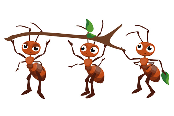 Coloriage fourmi gratuit