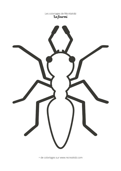 Coloriage fourmi maternelle