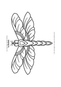 Coloriage libellule difficile
