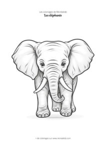 Coloriage petit éléphant