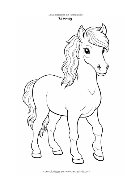 Coloriage poney réaliste