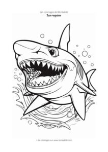 Coloriage requin noir et blanc