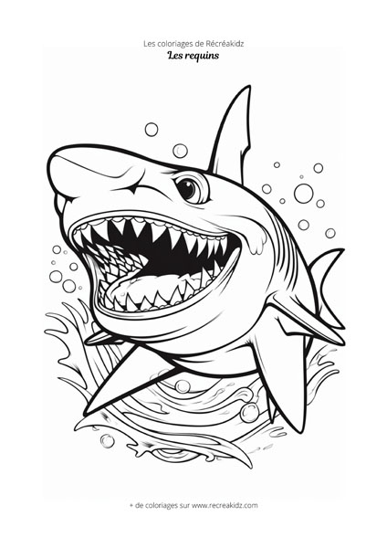 Coloriage requin noir et blanc