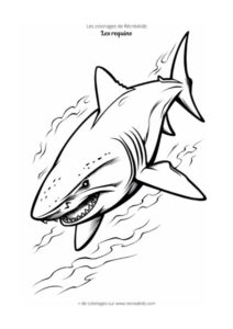 Coloriage requin qui nage