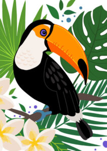 Coloriage toucan