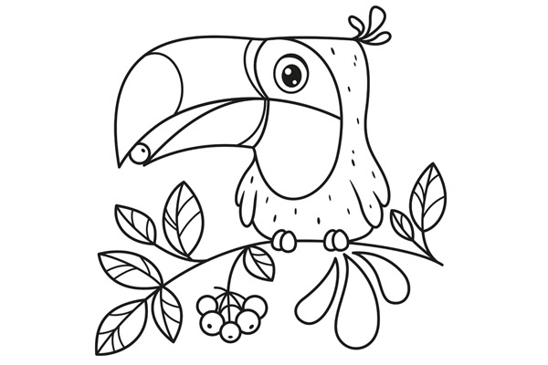 Coloriage toucan à imprimer