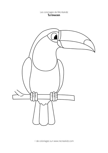 Coloriage toucan facile