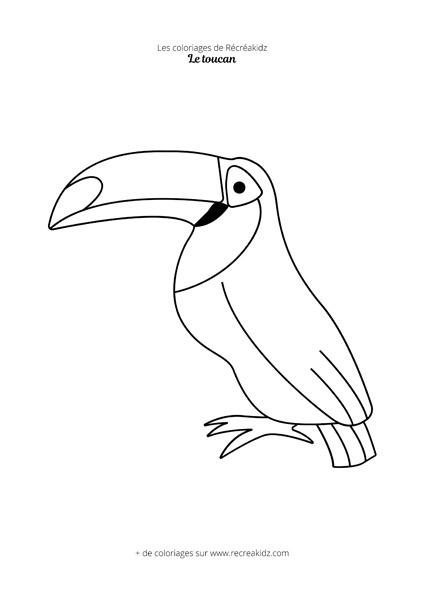 Coloriage toucan simple