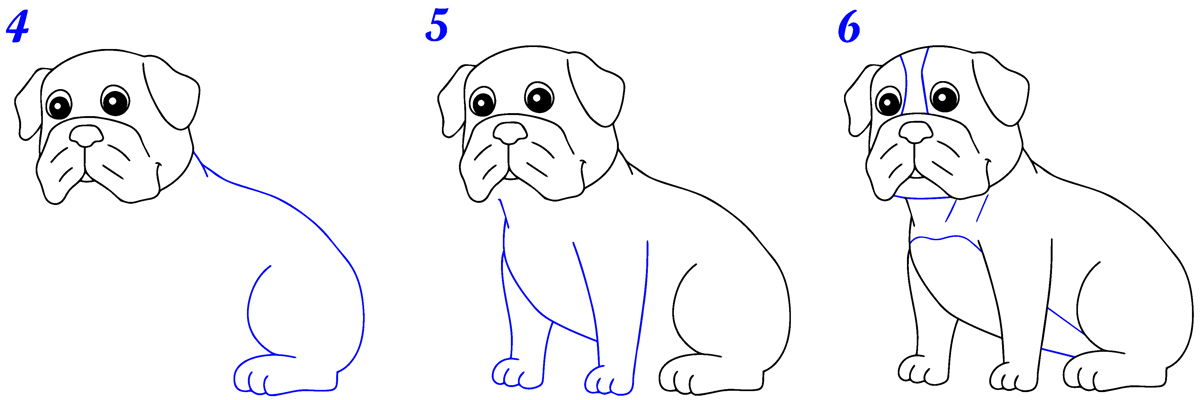 Comment dessiner bouledogue facile