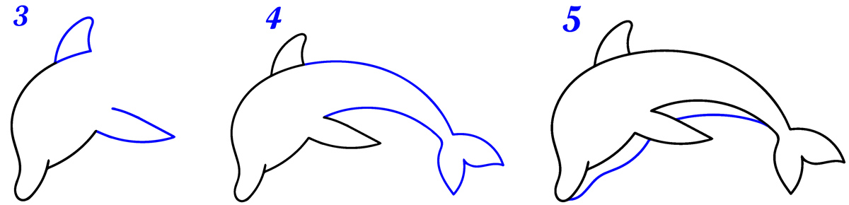 Comment dessiner dauphin facile