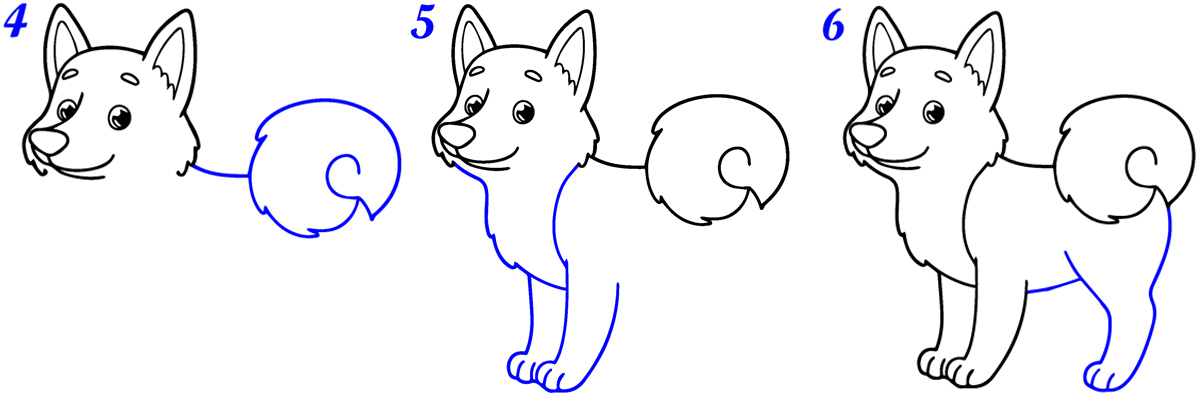 Comment dessiner husky facile