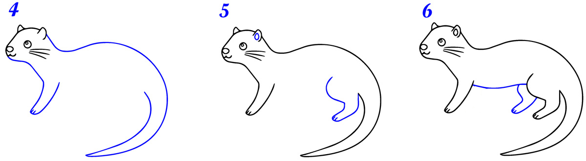 Comment dessiner loutre facile