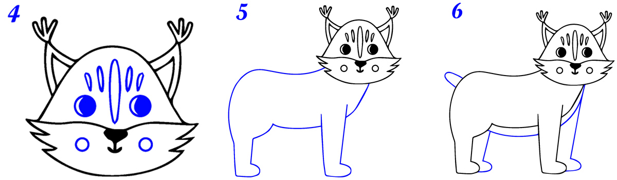 Comment dessiner un lynx facile