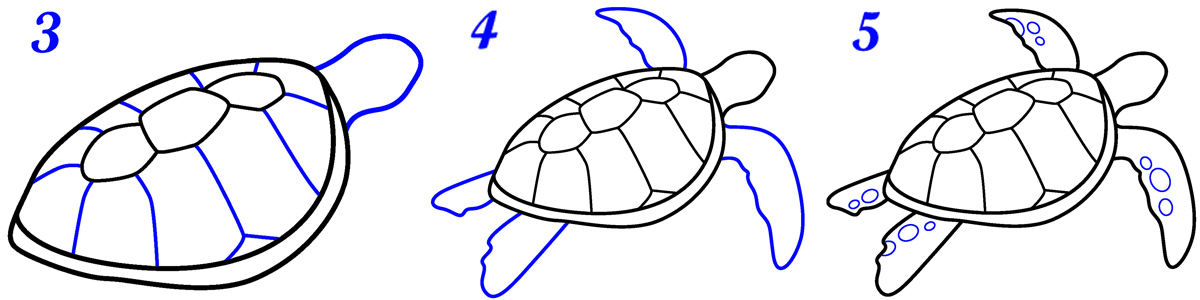 Comment dessiner tortue facile