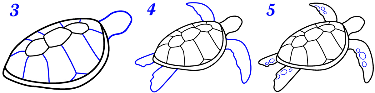 Dessin tortue facile – Mer Aux Trésors