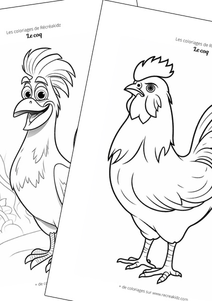 Coq facile à dessiner maternelle