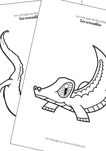 Crocodile facile à dessiner maternelle