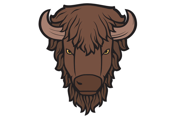 Dessin de bison à colorier