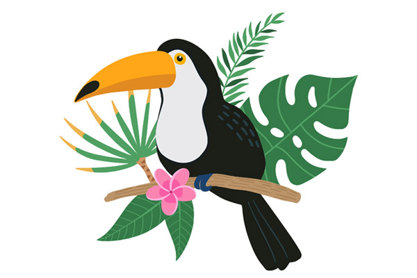 Dessin de toucan à colorier