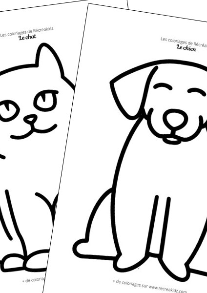 Dessiner animaux compagnie facile maternelle