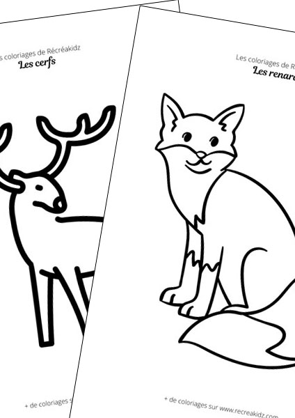 Dessiner animaux forêt facile maternelle