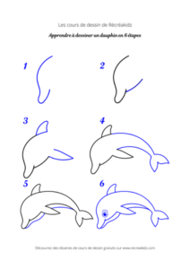 Dessiner un dauphin