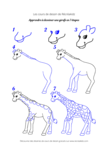 Dessiner une girafe