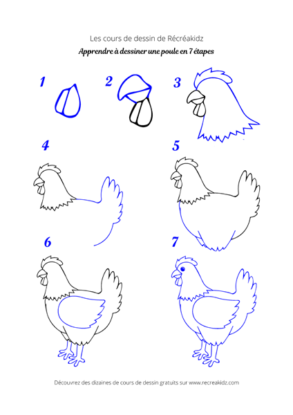 Dessiner une poule