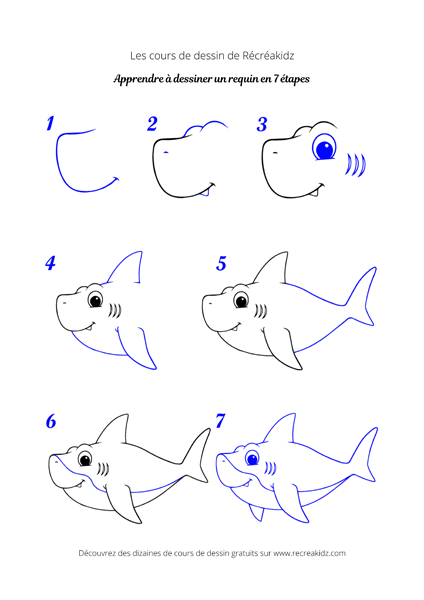 Dessiner un requin