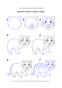 COMMENT DESSINER UN TIGRE EN QUELQUES TRAITS ?