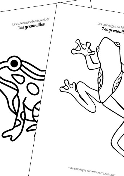 Grenouille facile à dessiner maternelle