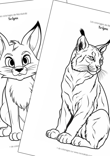 Lynx facile à dessiner maternelle