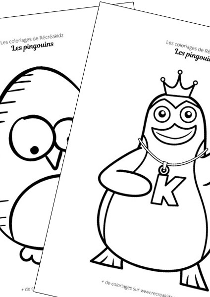 Pingouin facile à dessiner maternelle