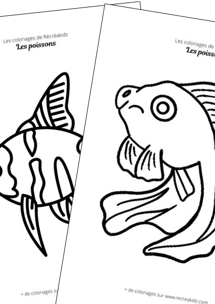 Poisson facile à dessiner maternelle