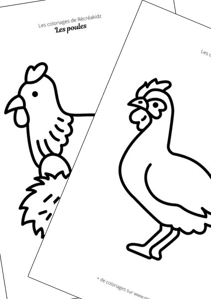 Poule facile à dessiner maternelle