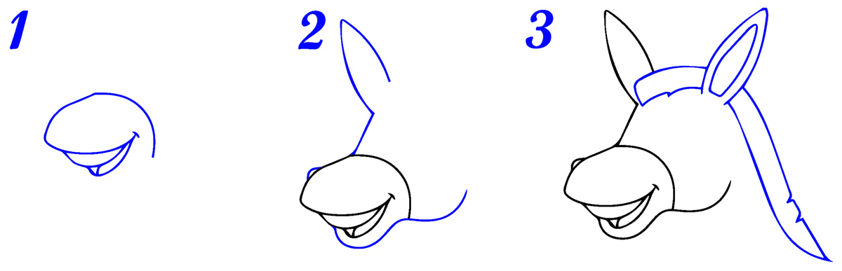 Tête d'âne dessin facile