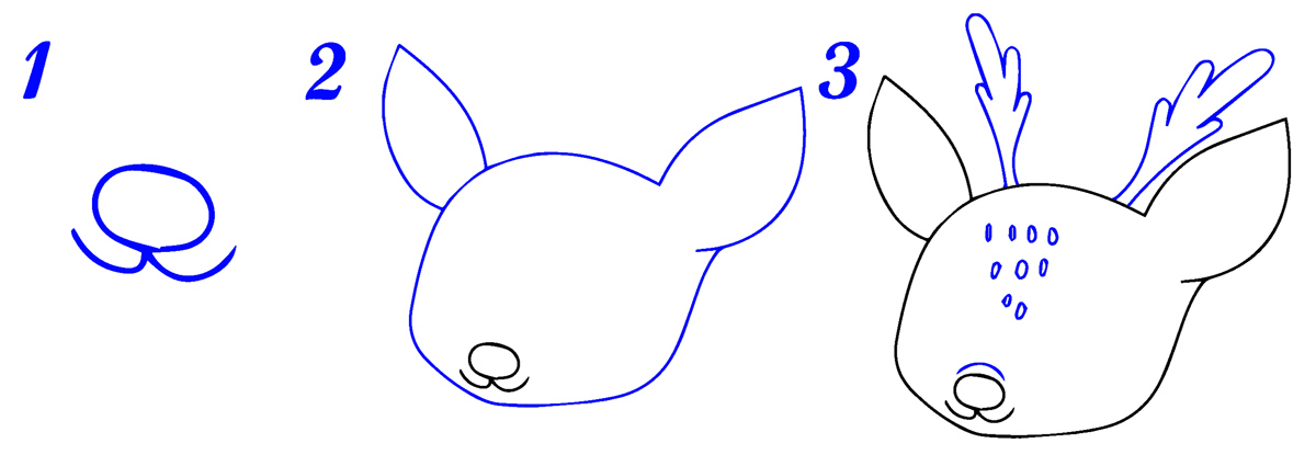 Tête de chevreuil dessin facile