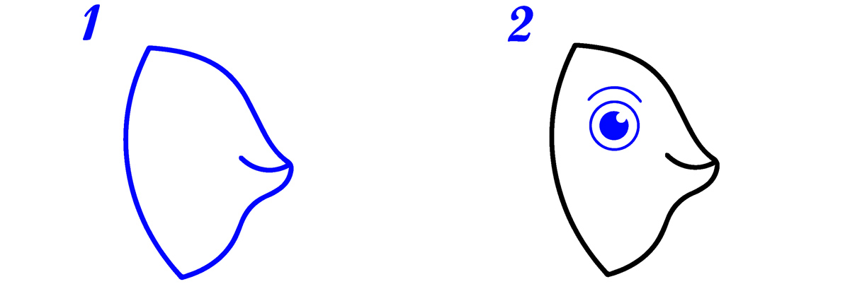 Tête de poisson dessin facile