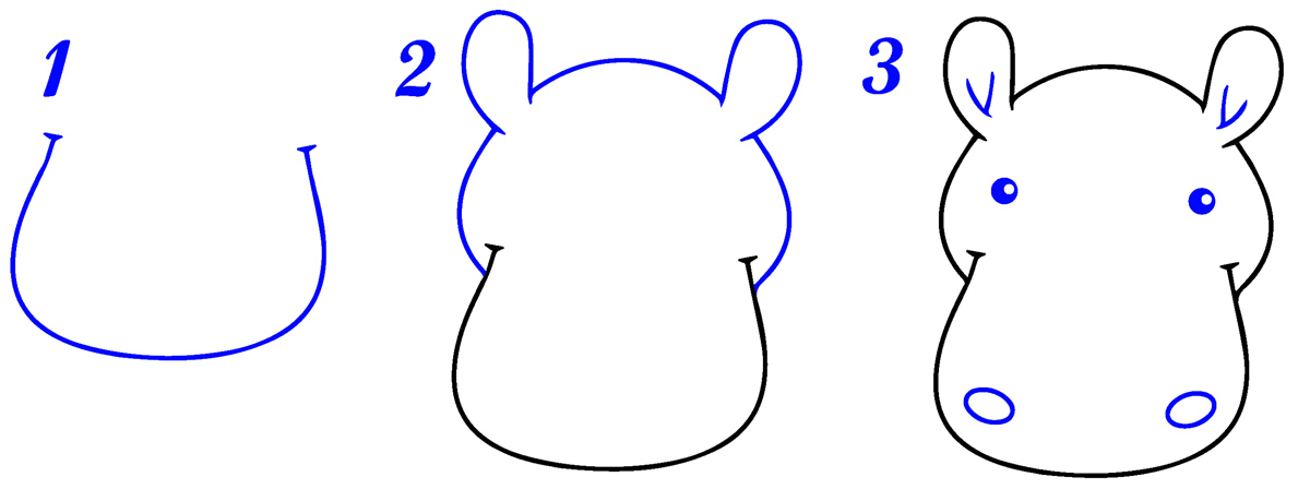 Tête hippopotame dessin facile