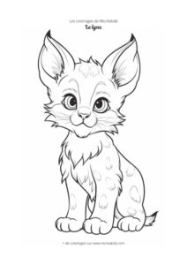 Coloriage bébé lynx