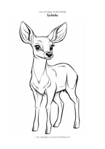 Coloriage biche mignonne